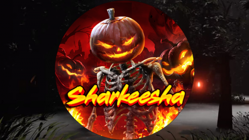 Интервью с создателем видео: Sharkeesha